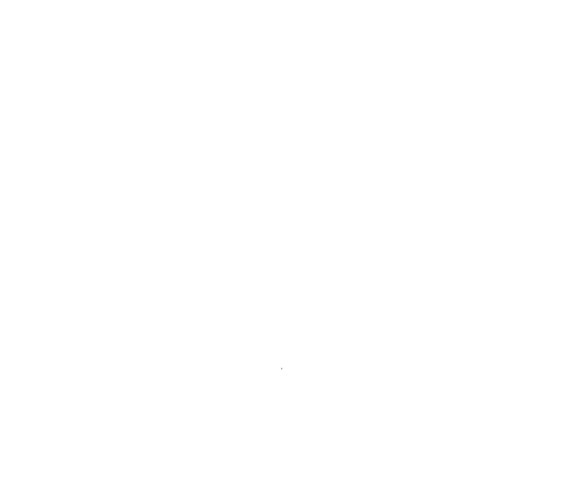 Picture in blank outline of the basilica of St Francis of Assisi